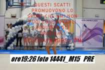 14441_M15-PRE