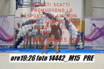 14442_M15-PRE