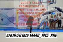14446_M15-PRE