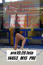 14453_M15-PRE