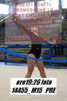 14455_M15-PRE