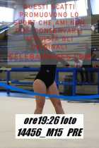 14456_M15-PRE