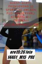 14461_M15-PRE