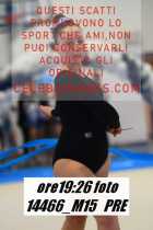 14466_M15-PRE