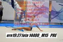 14480_M15-PRE