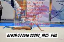 14481_M15-PRE