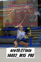 14492_M15-PRE