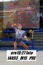 14493_M15-PRE