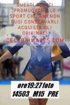 14503_M15-PRE