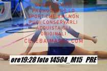 14504_M15-PRE