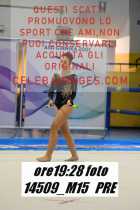 14509_M15-PRE