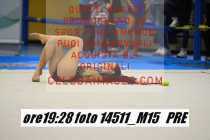 14511_M15-PRE