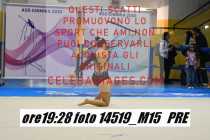 14519_M15-PRE