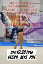 14520_M15-PRE