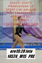 14524_M15-PRE