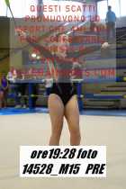 14528_M15-PRE