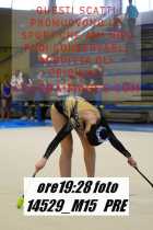 14529_M15-PRE
