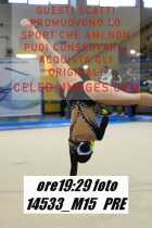 14533_M15-PRE