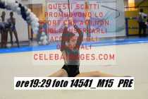 14541_M15-PRE