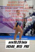 14546_M15-PRE