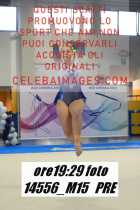 14556_M15-PRE