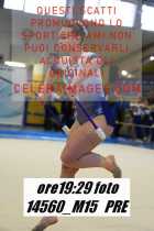 14560_M15-PRE