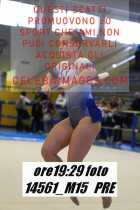 14561_M15-PRE