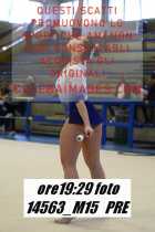 14563_M15-PRE