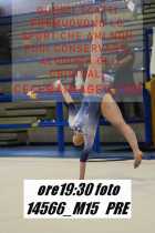 14566_M15-PRE