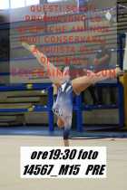 14567_M15-PRE
