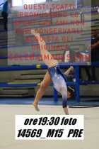 14569_M15-PRE
