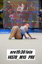 14578_M15-PRE