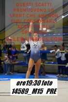 14589_M15-PRE