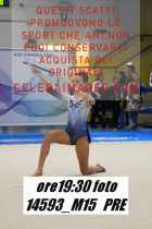 14593_M15-PRE