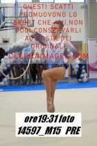 14597_M15-PRE