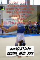 14599_M15-PRE