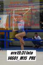 14601_M15-PRE