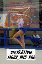 14602_M15-PRE