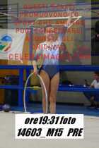 14603_M15-PRE