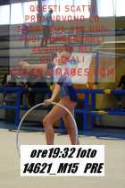 14621_M15-PRE