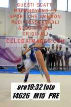 14626_M15-PRE