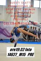 14627_M15-PRE