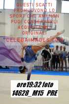 14628_M15-PRE