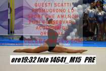 14641_M15-PRE