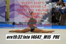 14642_M15-PRE