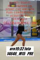14646_M15-PRE