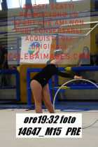 14647_M15-PRE
