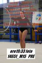 14651_M15-PRE
