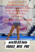 14663_M15-PRE