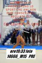 14666_M15-PRE
